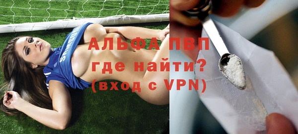 МДПВ Новозыбков